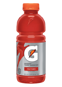 GATORADE FRUIT PUNCH 591ML
