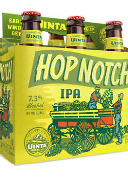 HOP NASH IPA 6PK