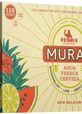 NEW BELGIUM MURAL 6PK